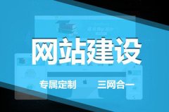 上海网站建设的类型